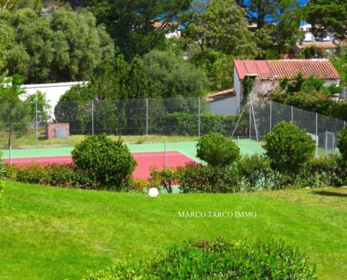 oro-31-tennis