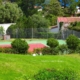 oro-31-tennis